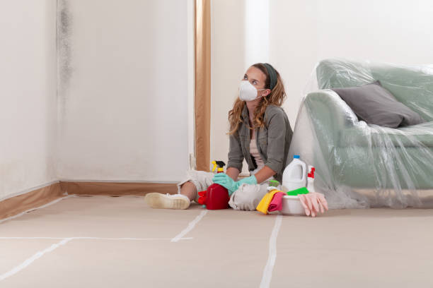 Reliable Mold Remediation contractor in Canton, NC by Mold Remediation HQ